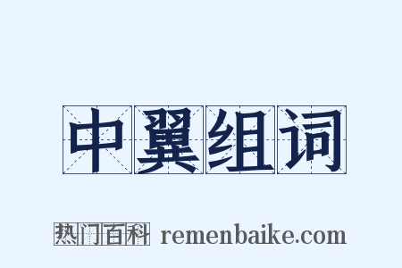 中翼组词是什么意思的图片